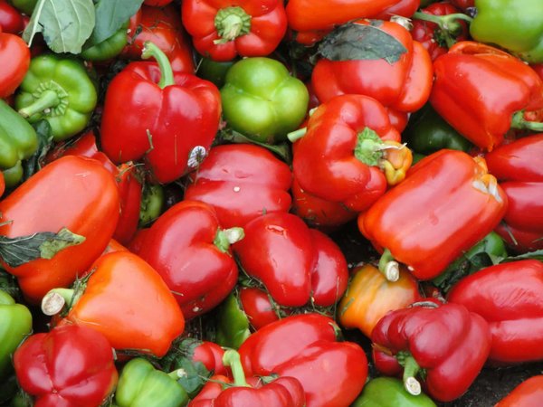 Wie kombiniert man nachhaltige Stoffe für einen eleganten Hochzeitsanzug?